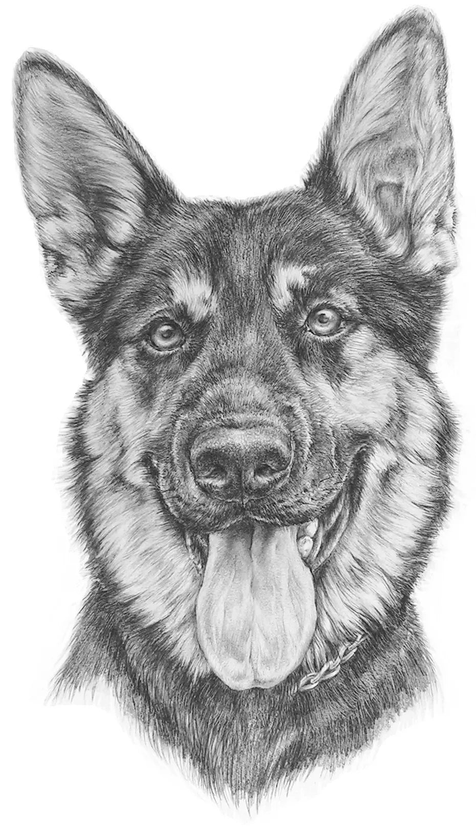pet drawings