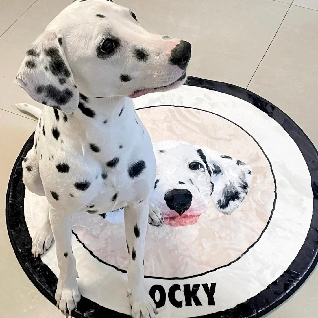 Custom Pet Portrait Rugs