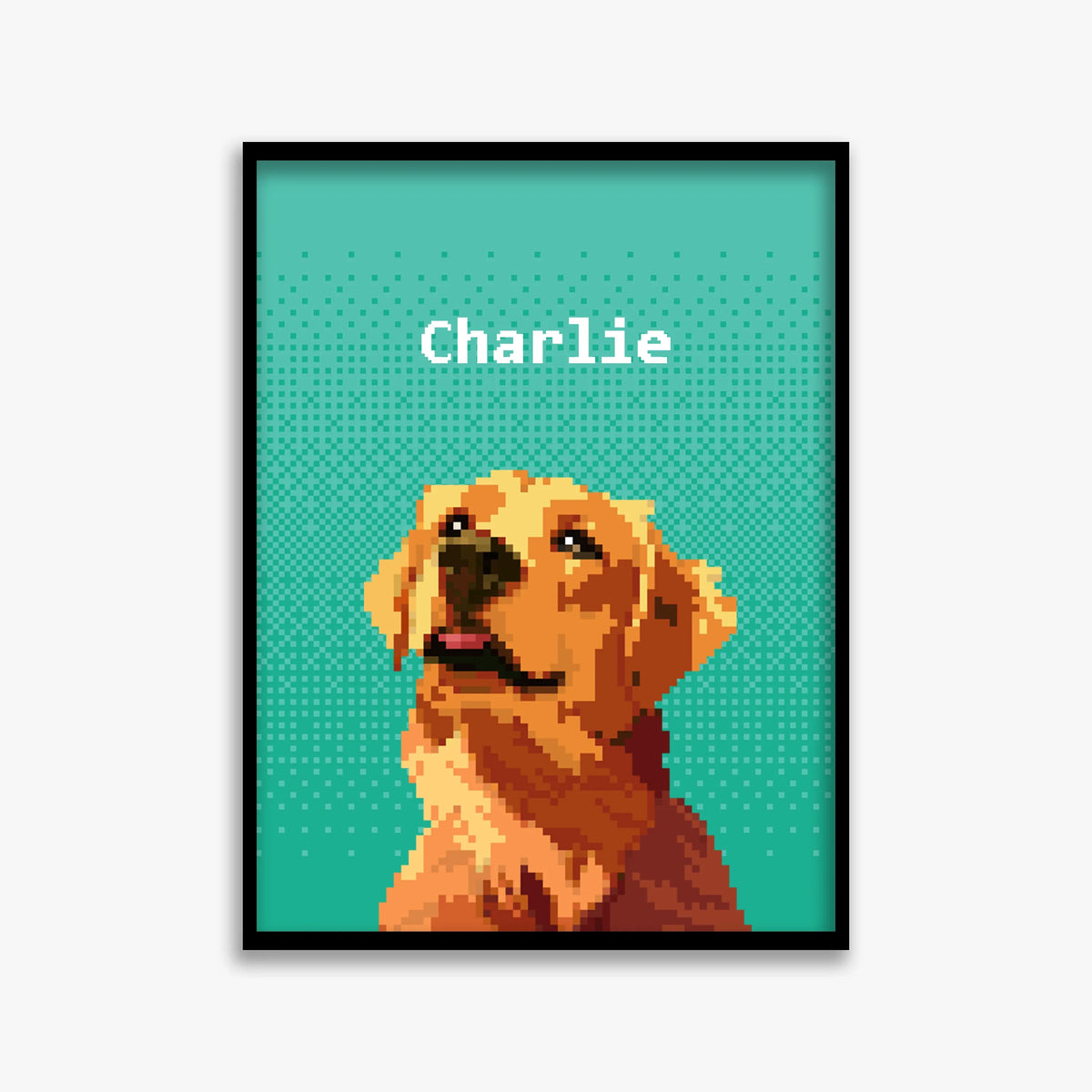 pet portraits