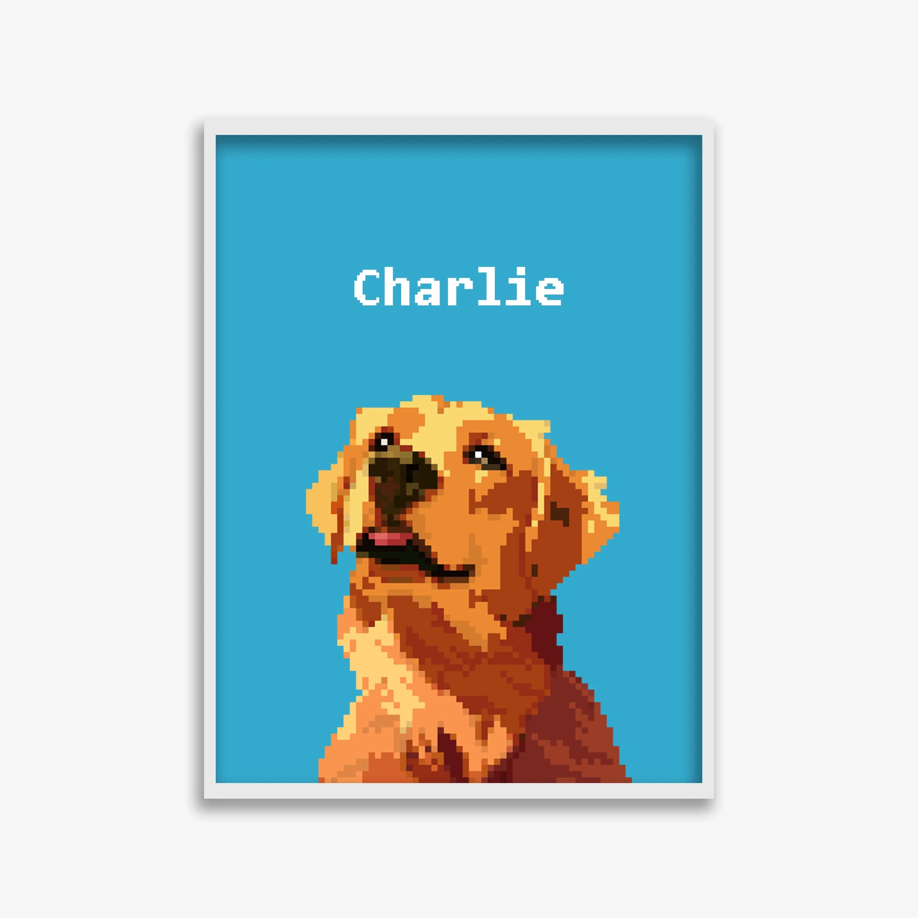 pet portraits