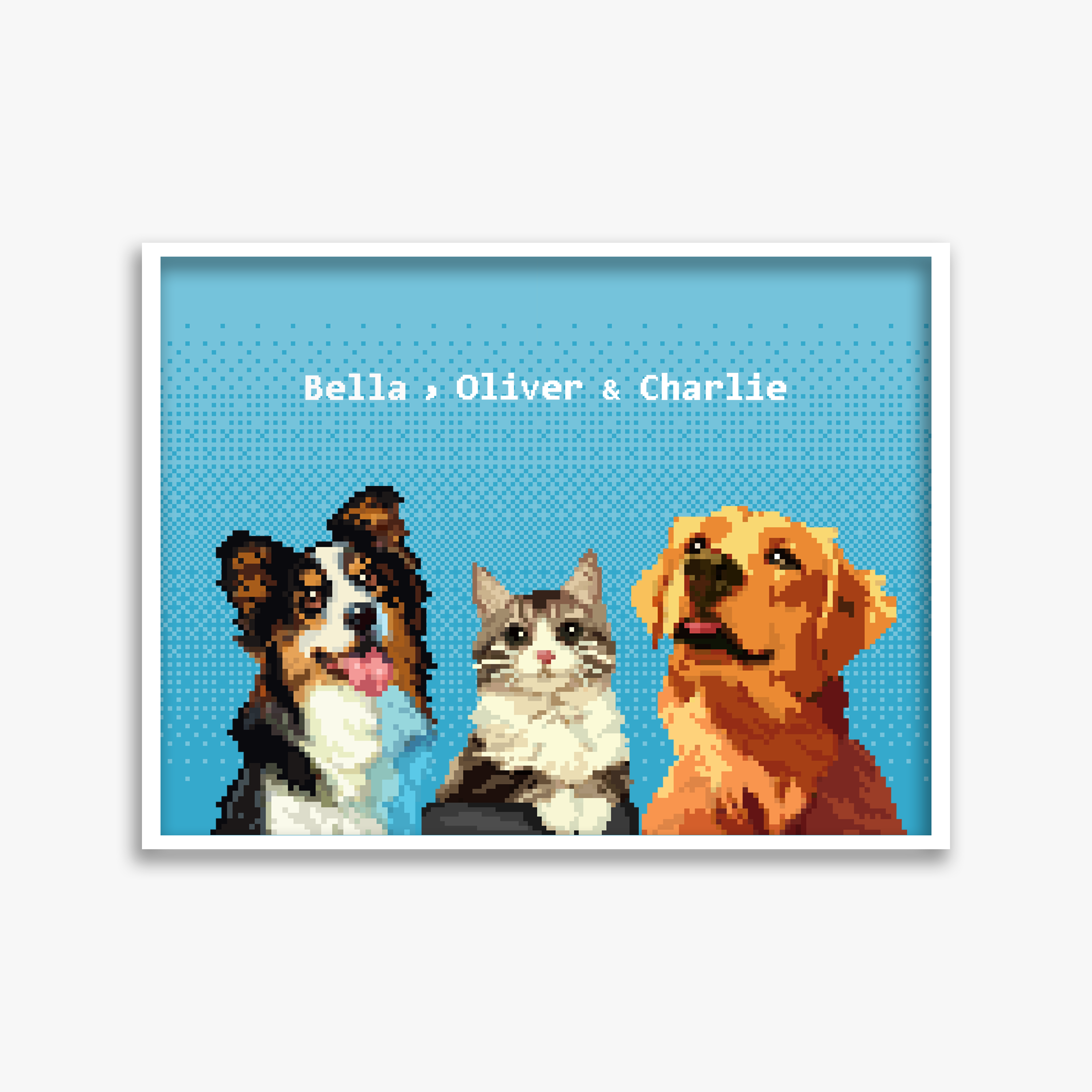 pet portraits