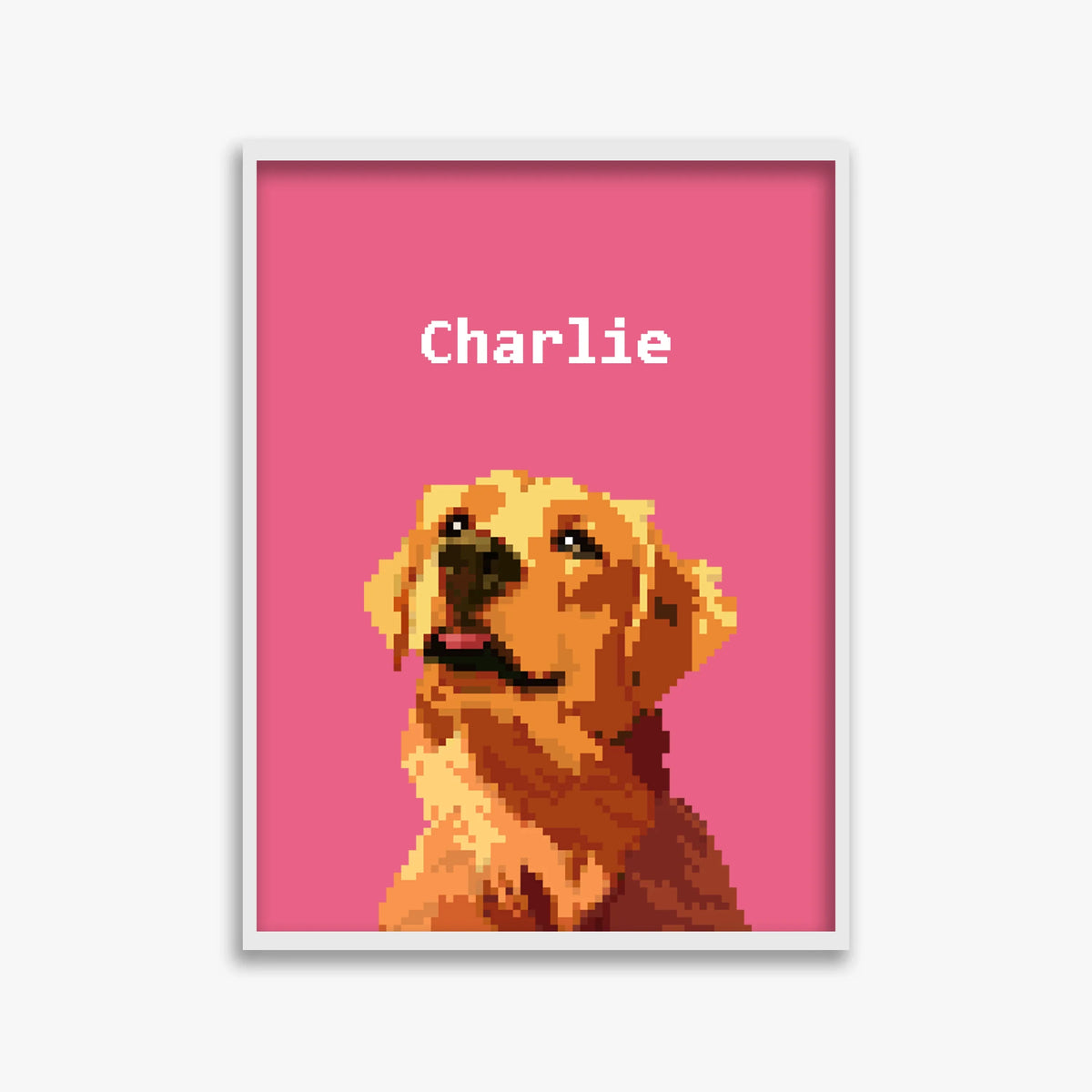 pet portraits