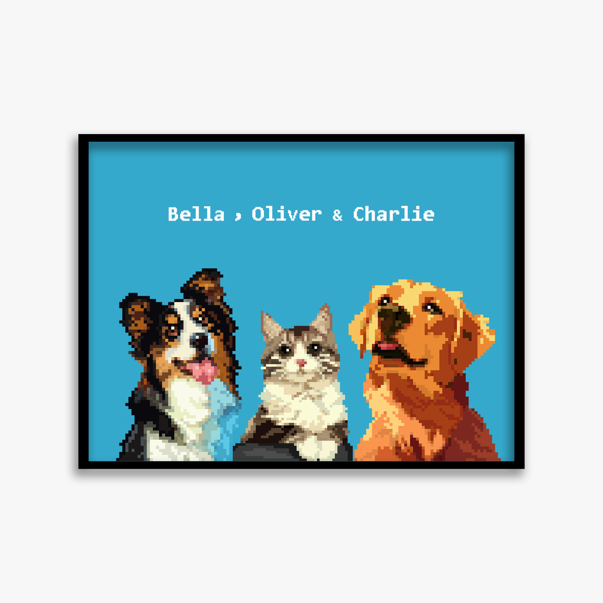 pet portraits