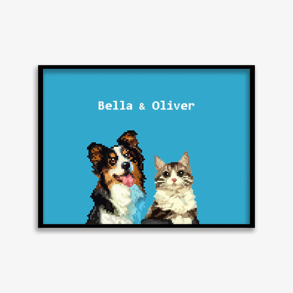 pet portraits