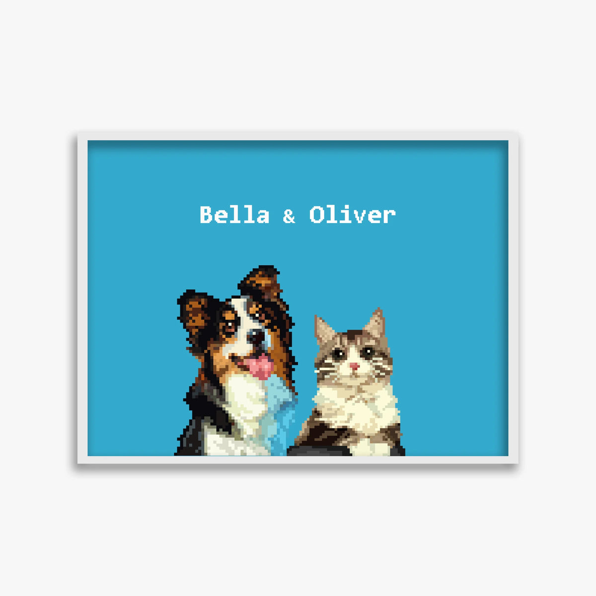 pet portraits