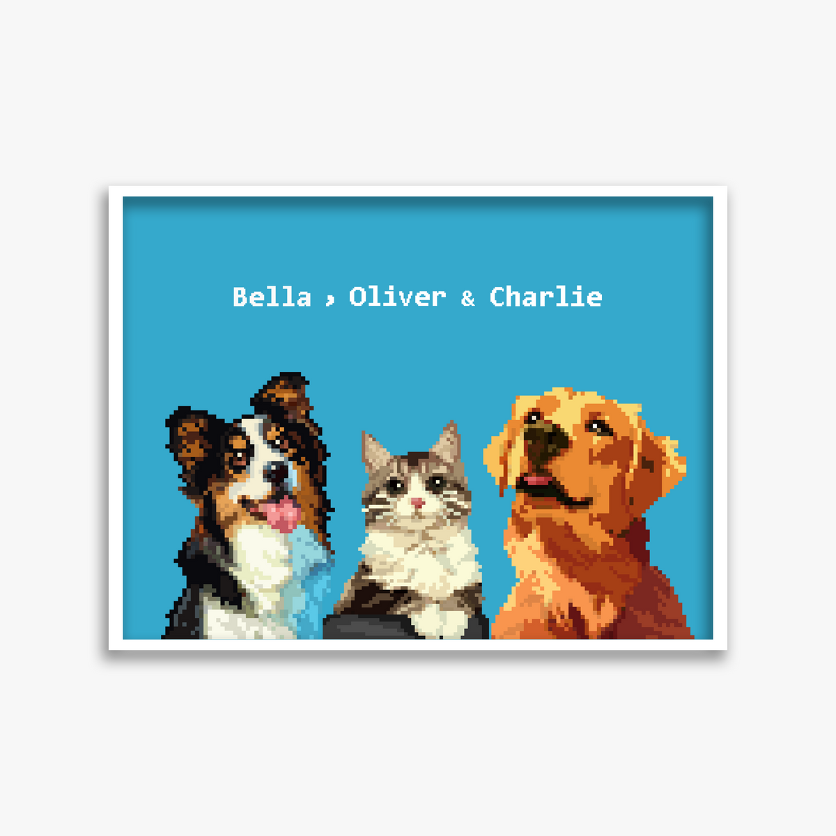 pet portraits