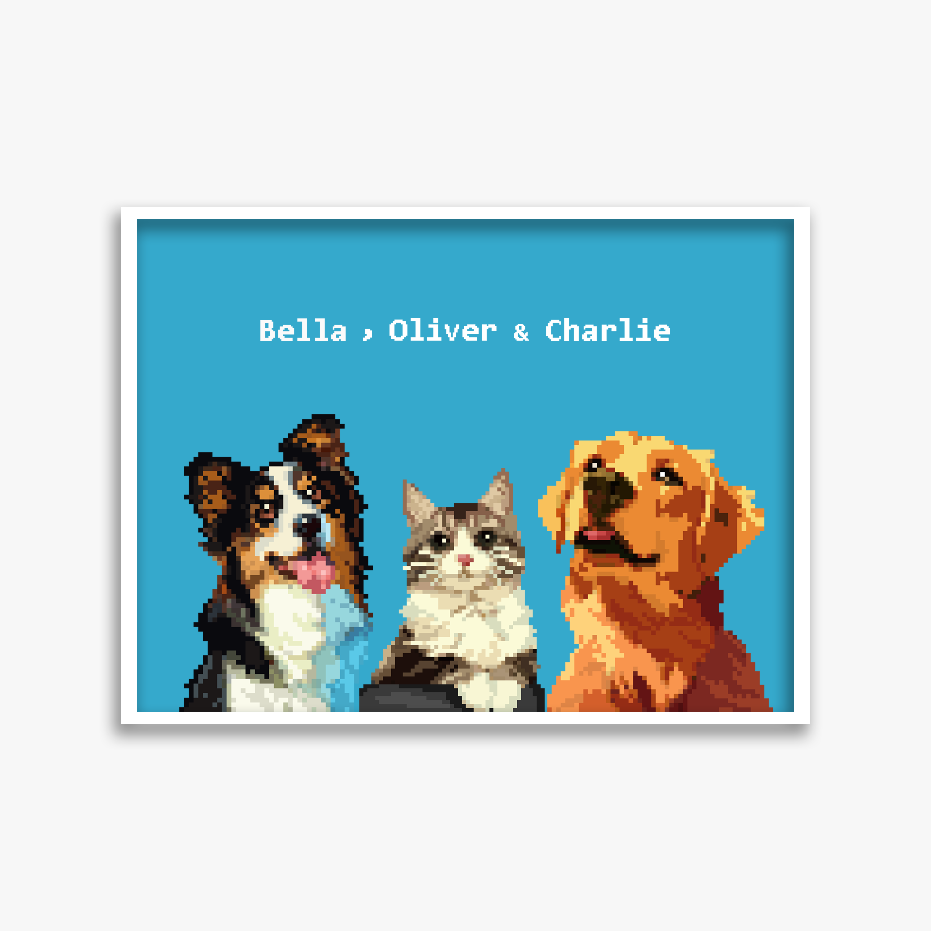pet portraits
