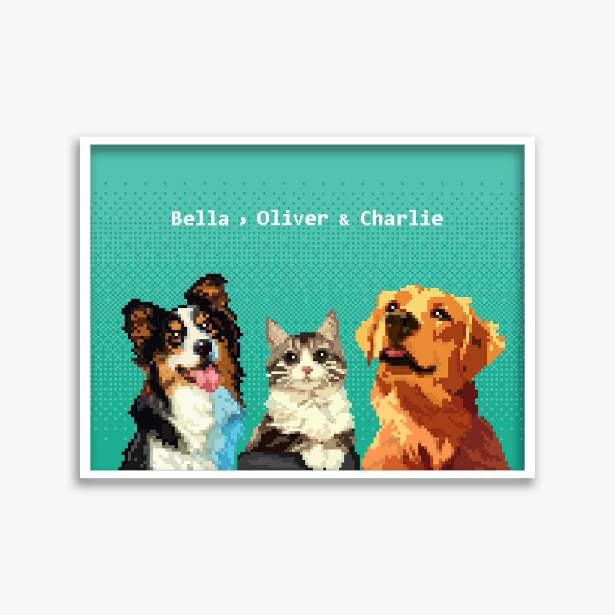 pet portraits