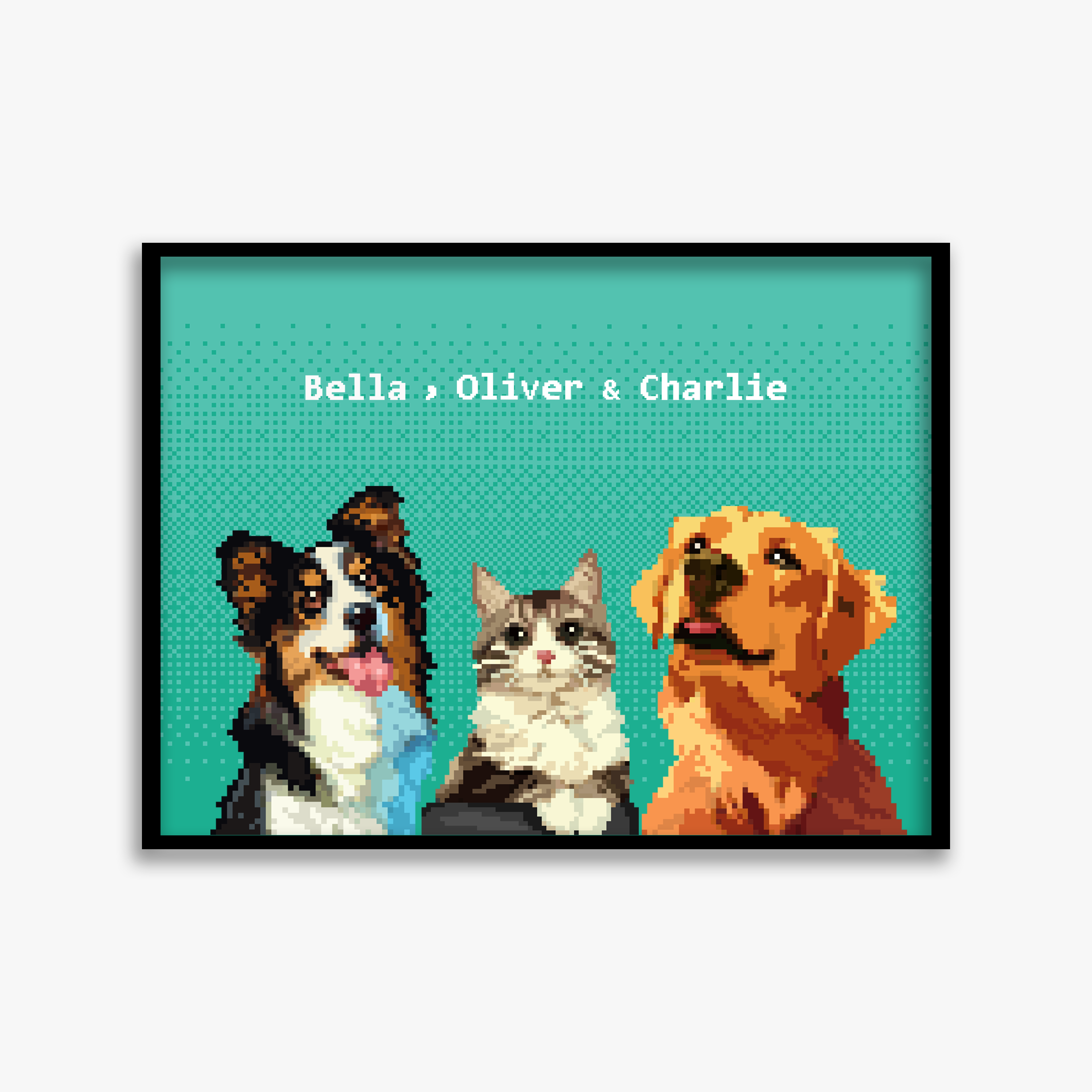 pet portraits