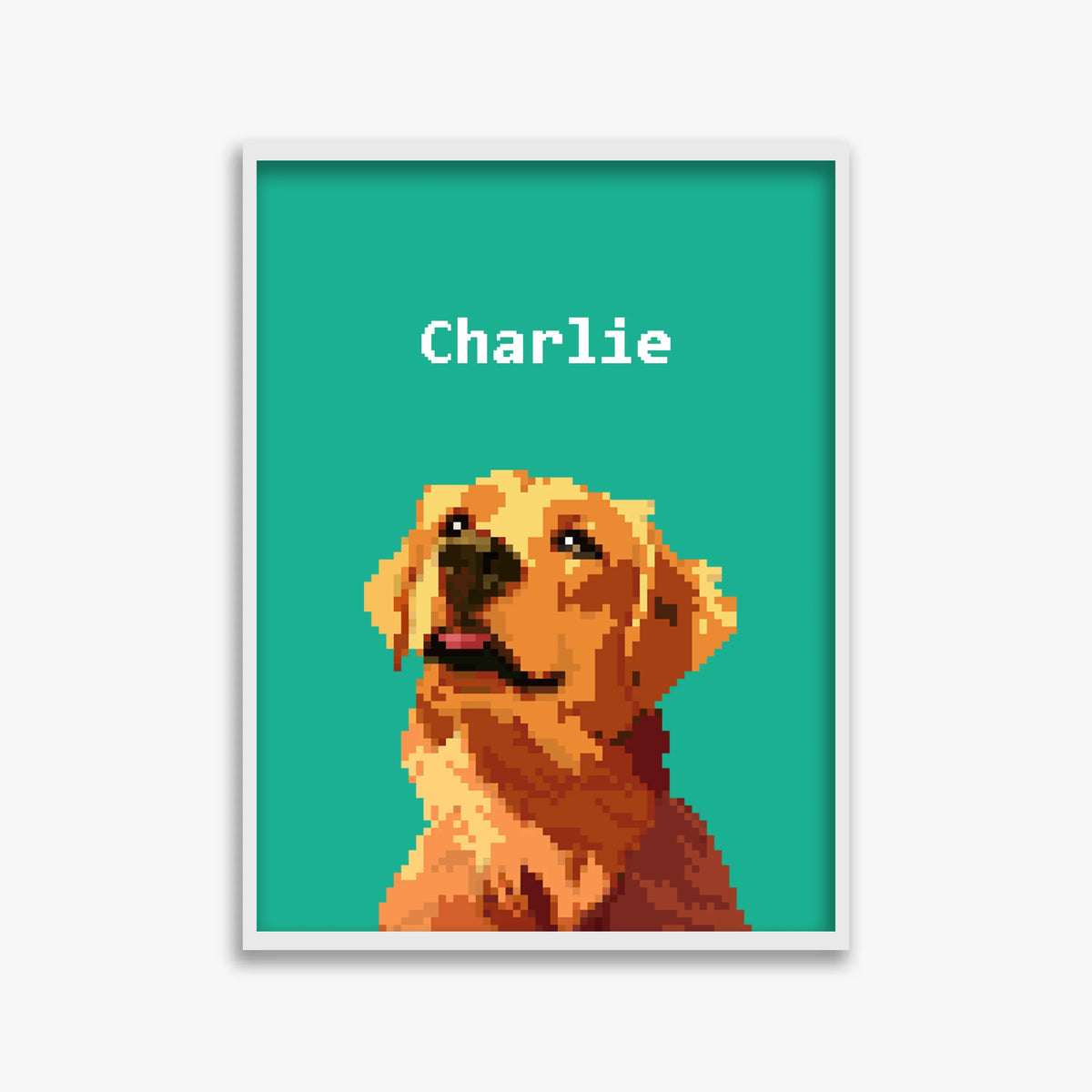 pet portraits
