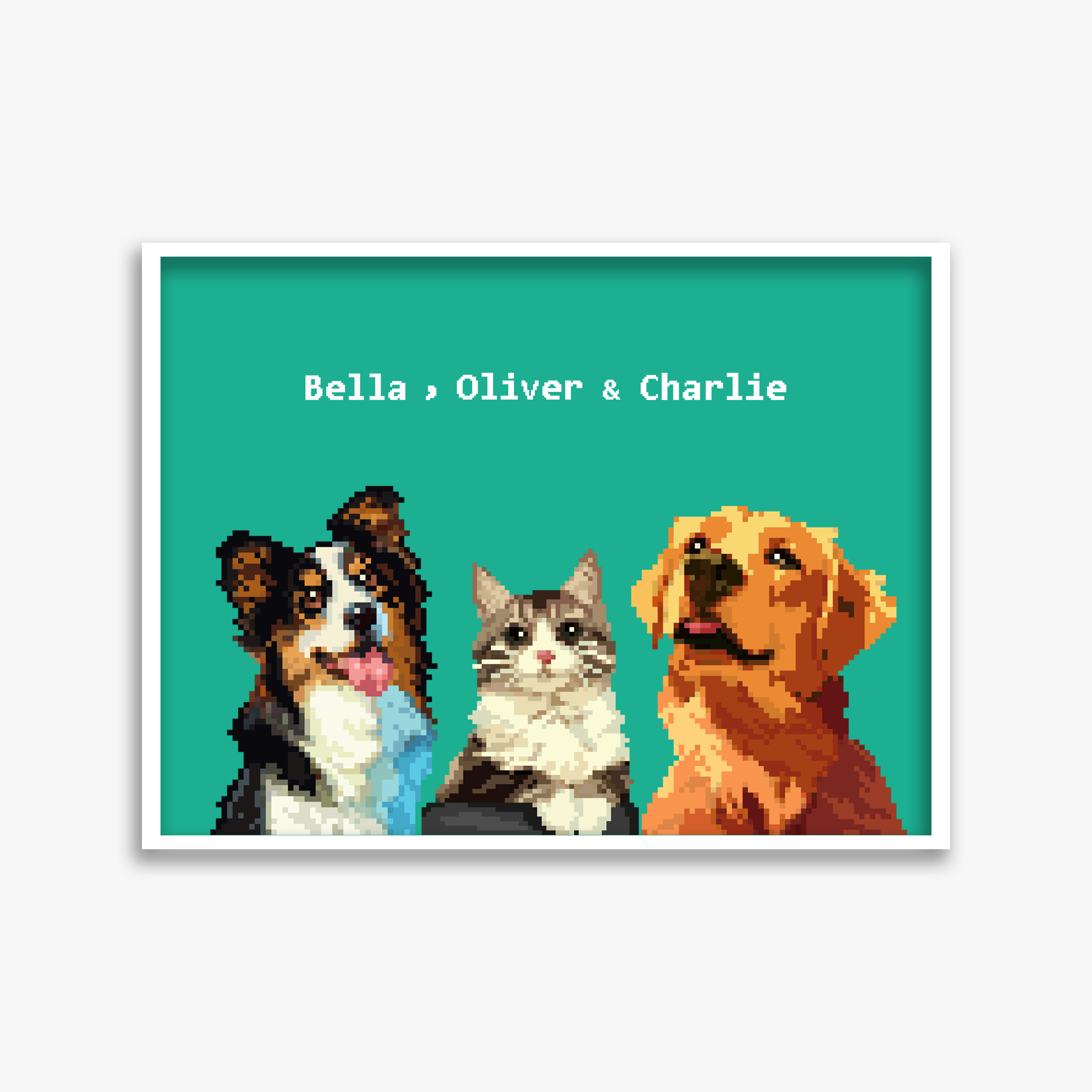 pet portraits