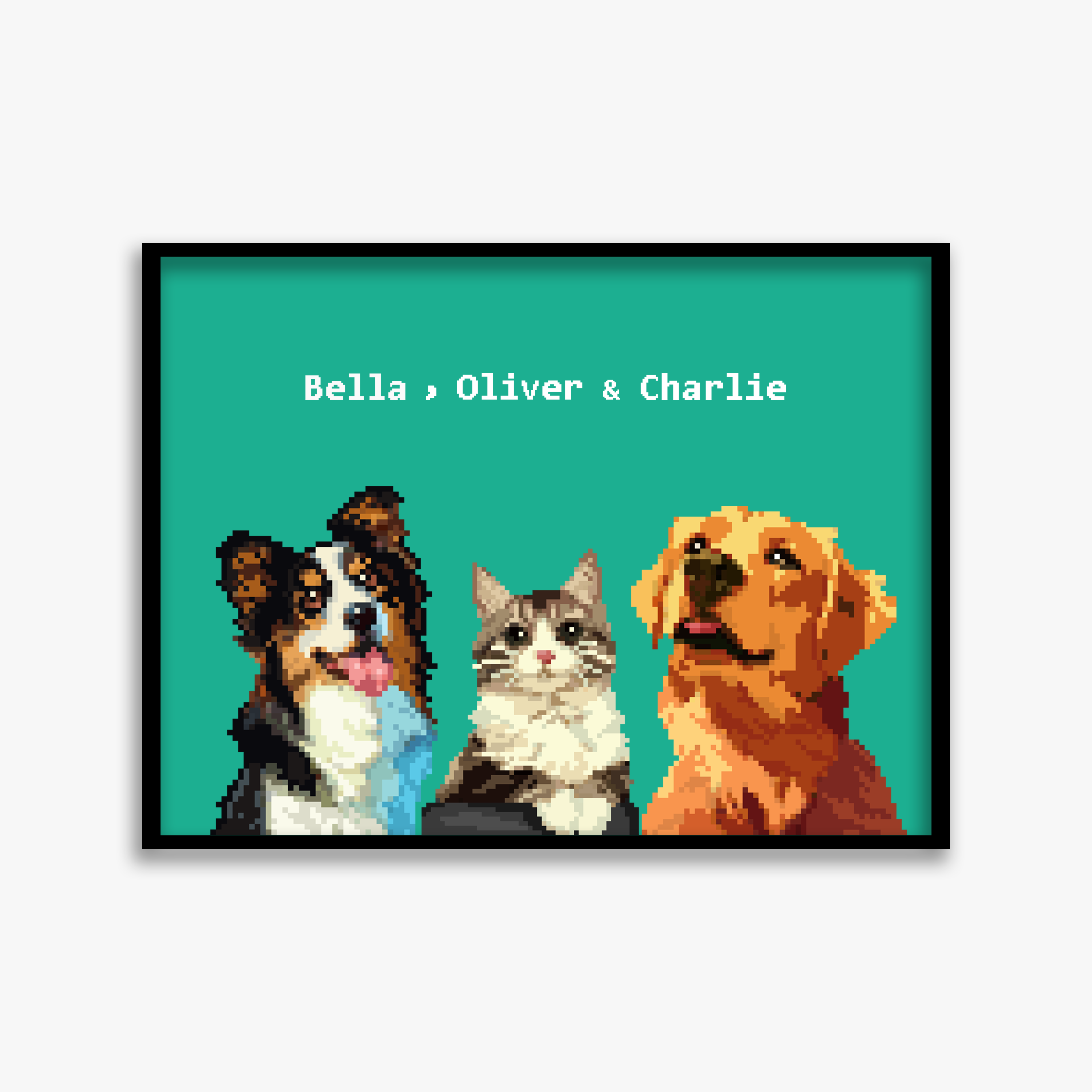 pet portraits