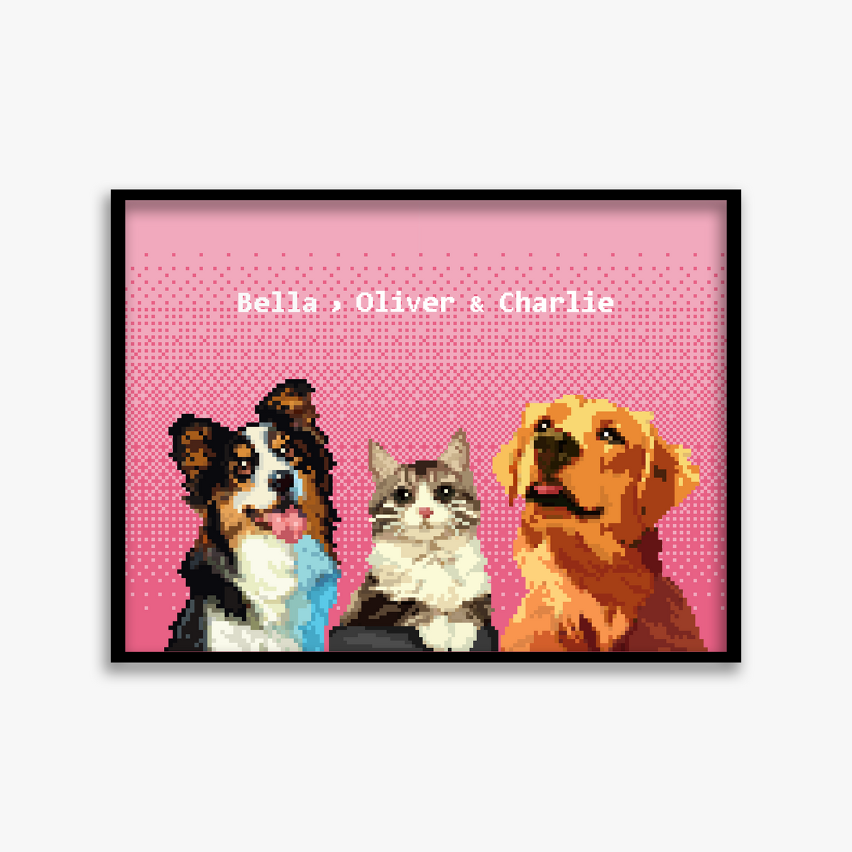 pet portraits