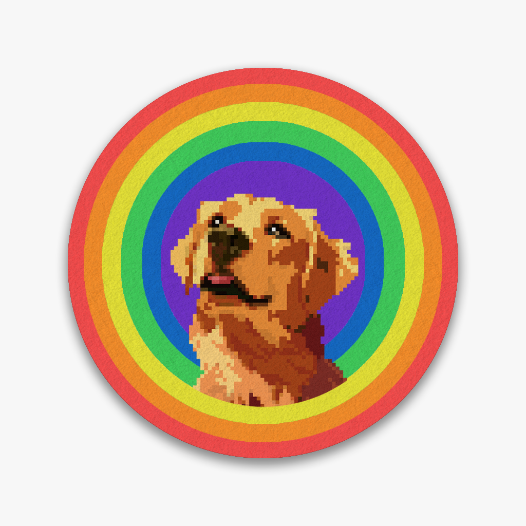 pet rainbow rug