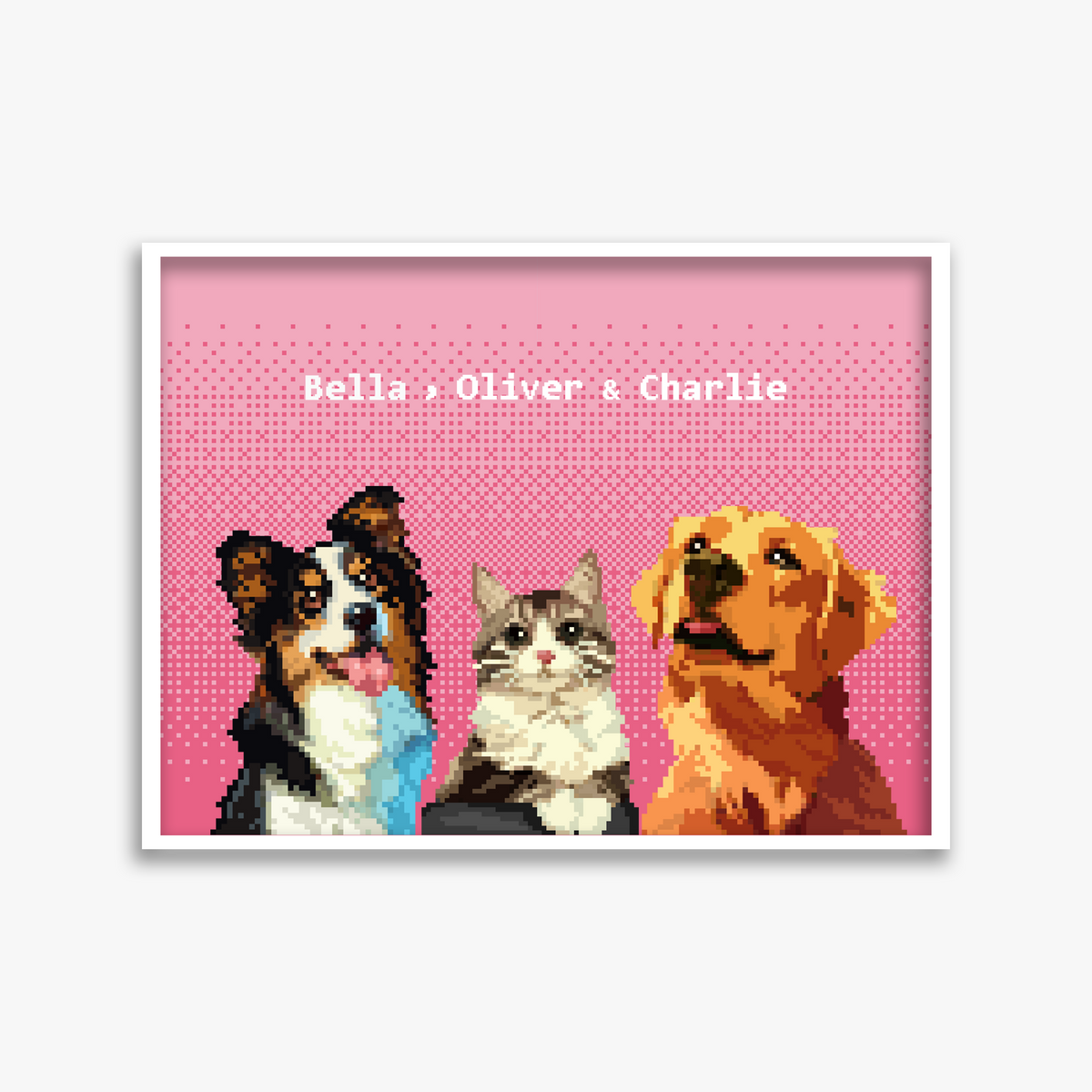 pet portraits