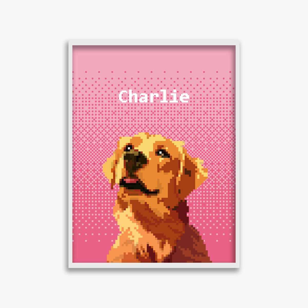 pet portraits