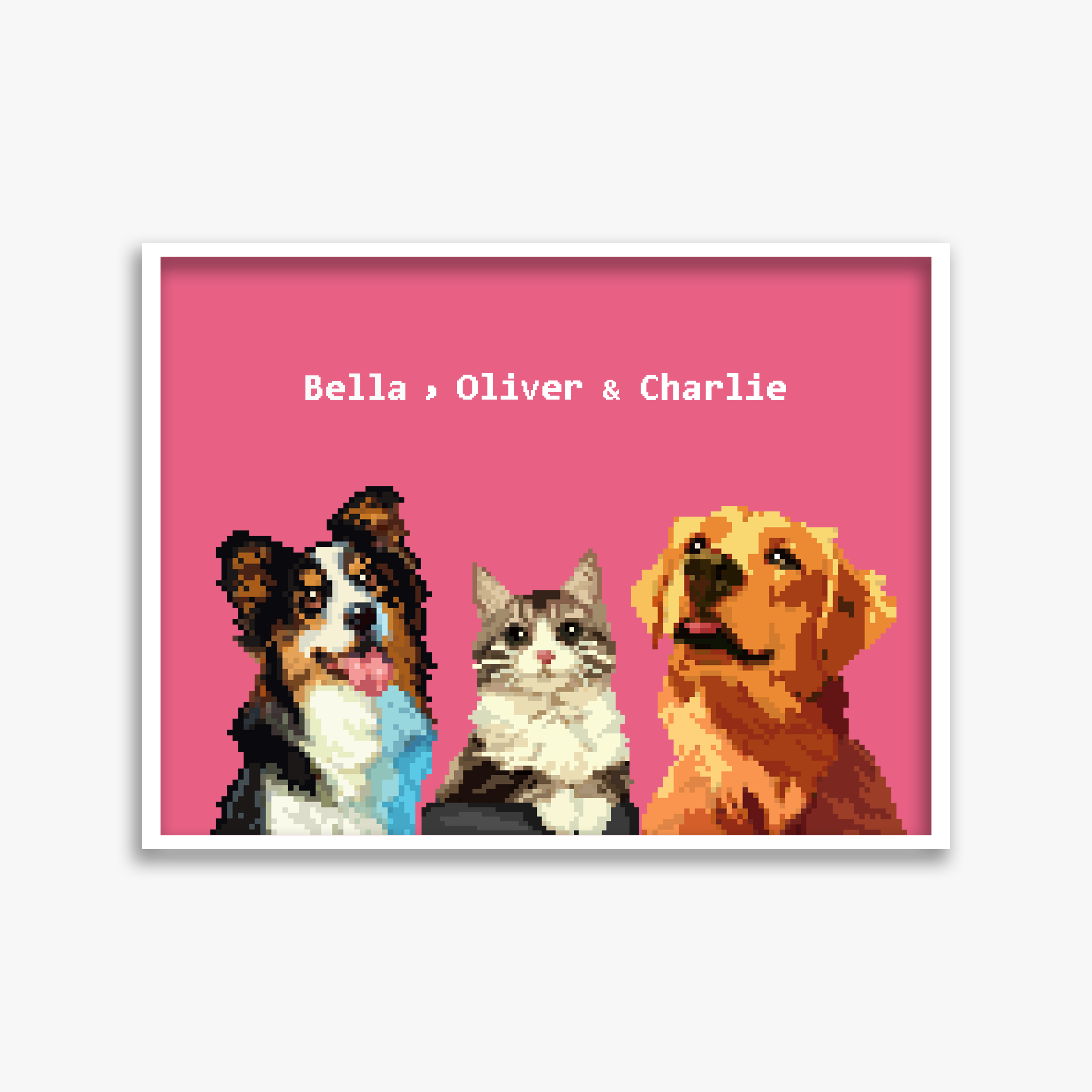 pet portraits