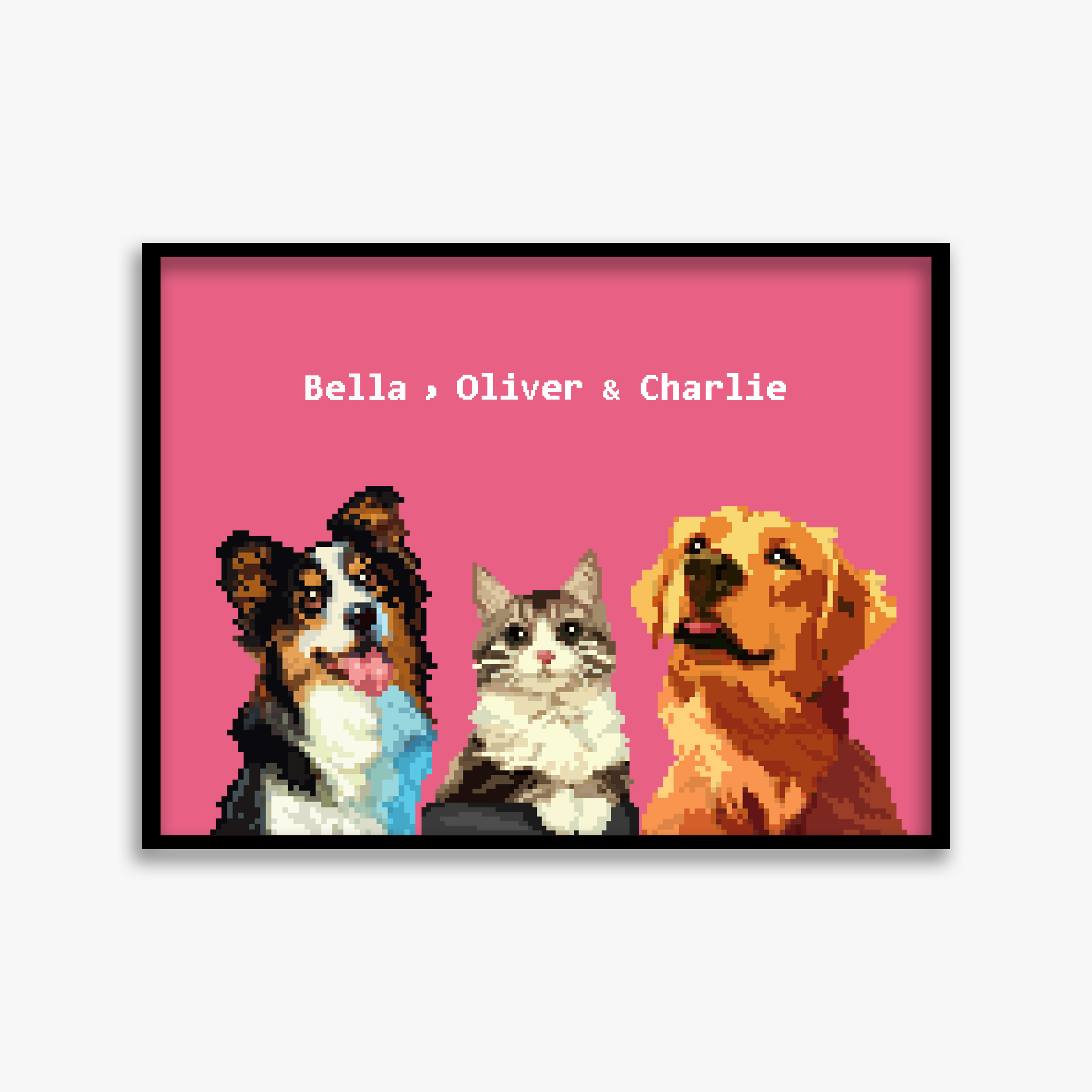 pet portraits