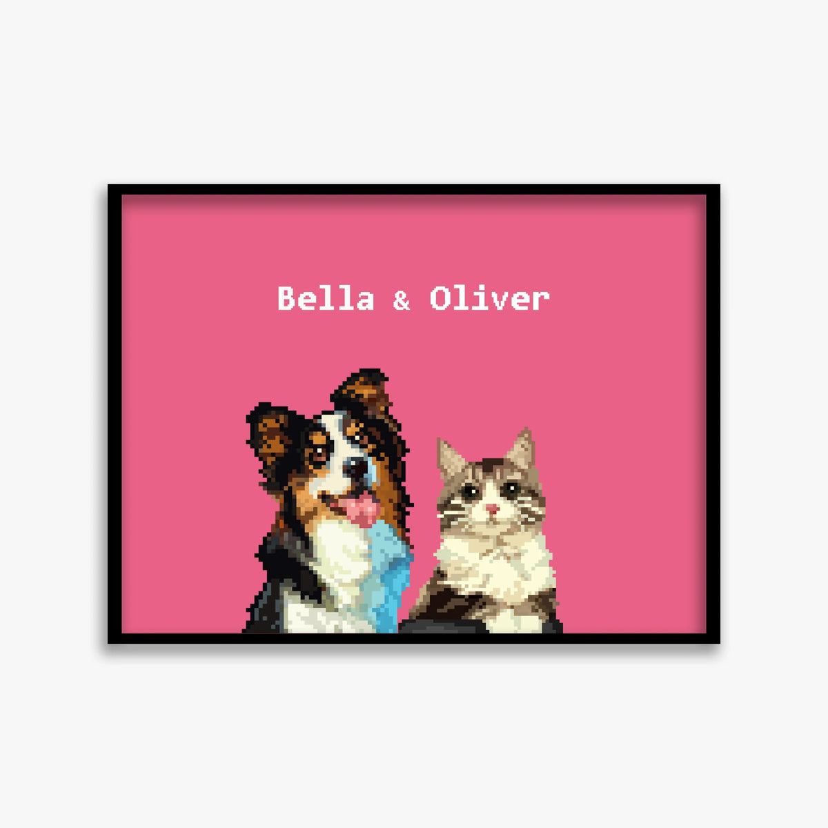 pet portraits