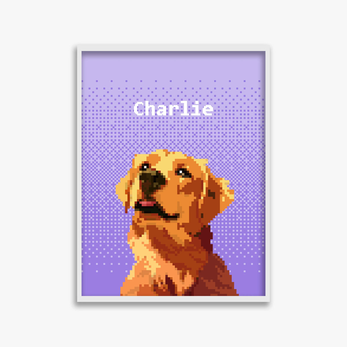 pet portraits