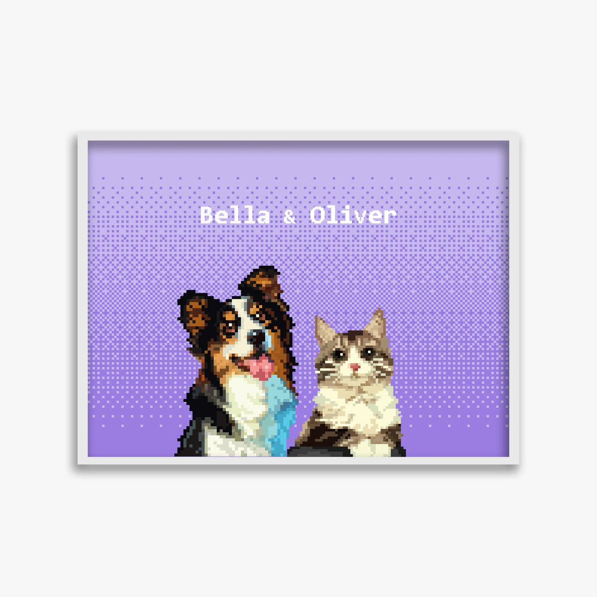 pet portraits