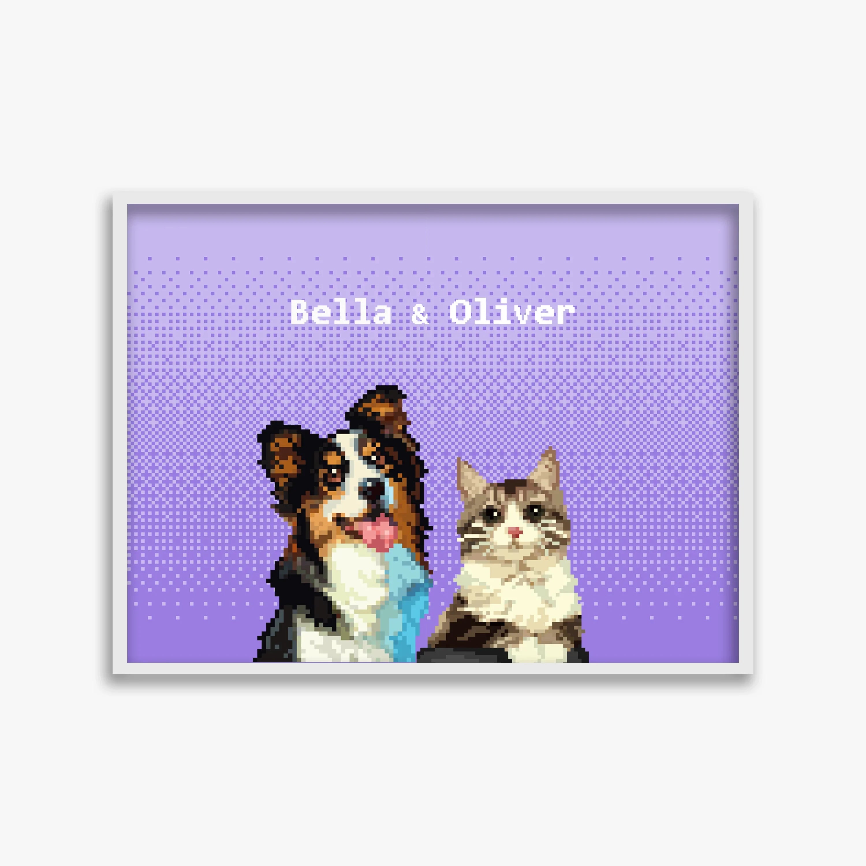 pet portraits