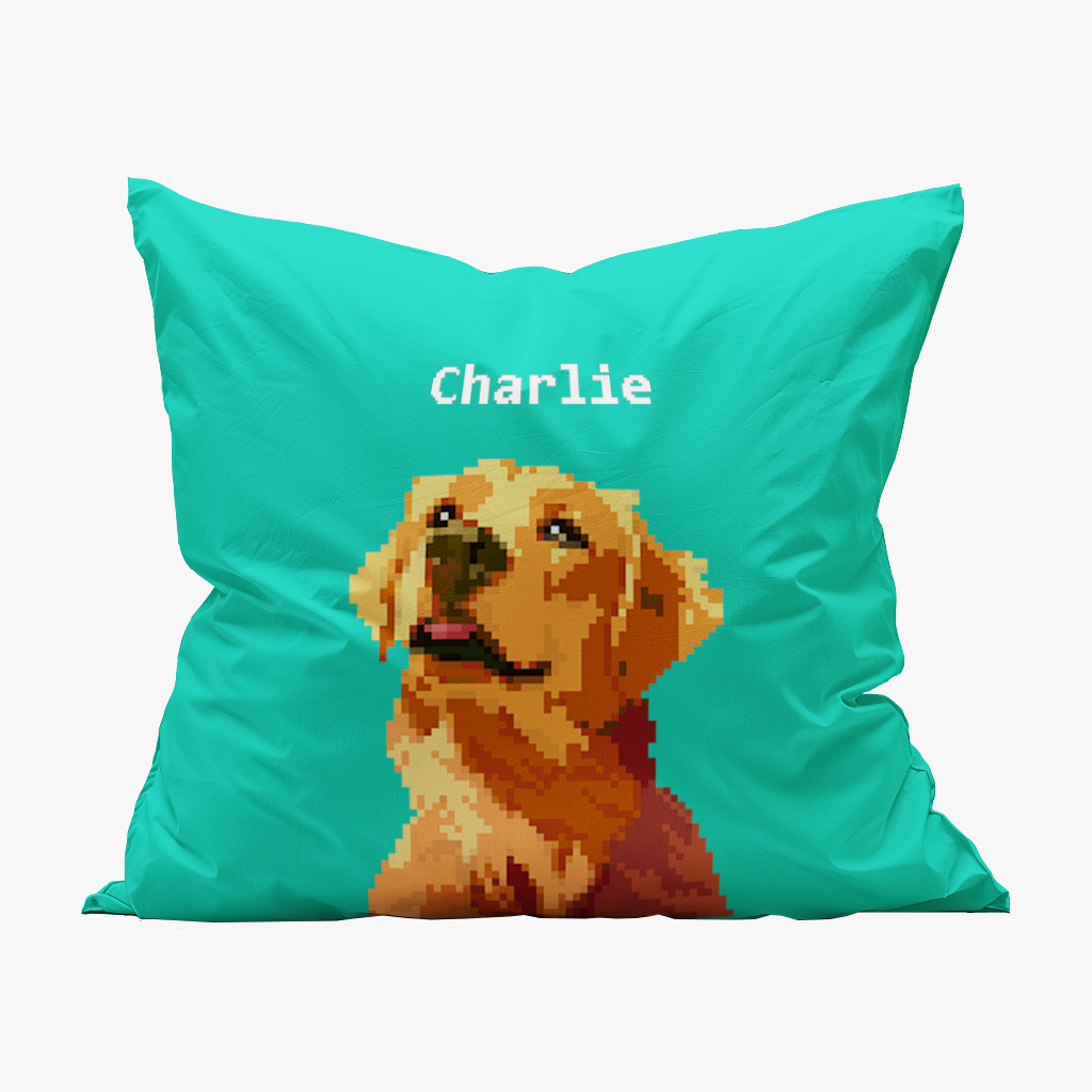custom pet pillow
