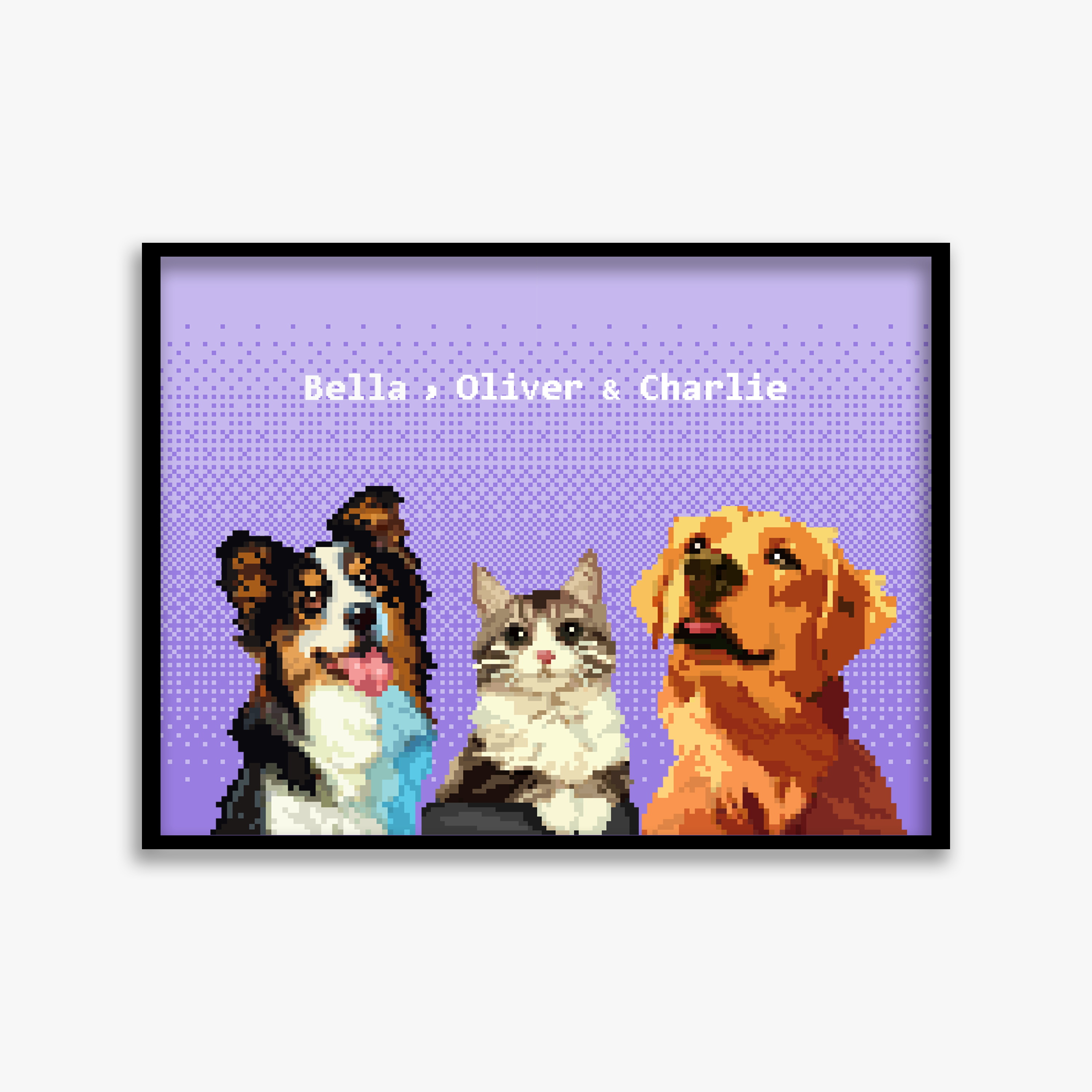 pet portraits