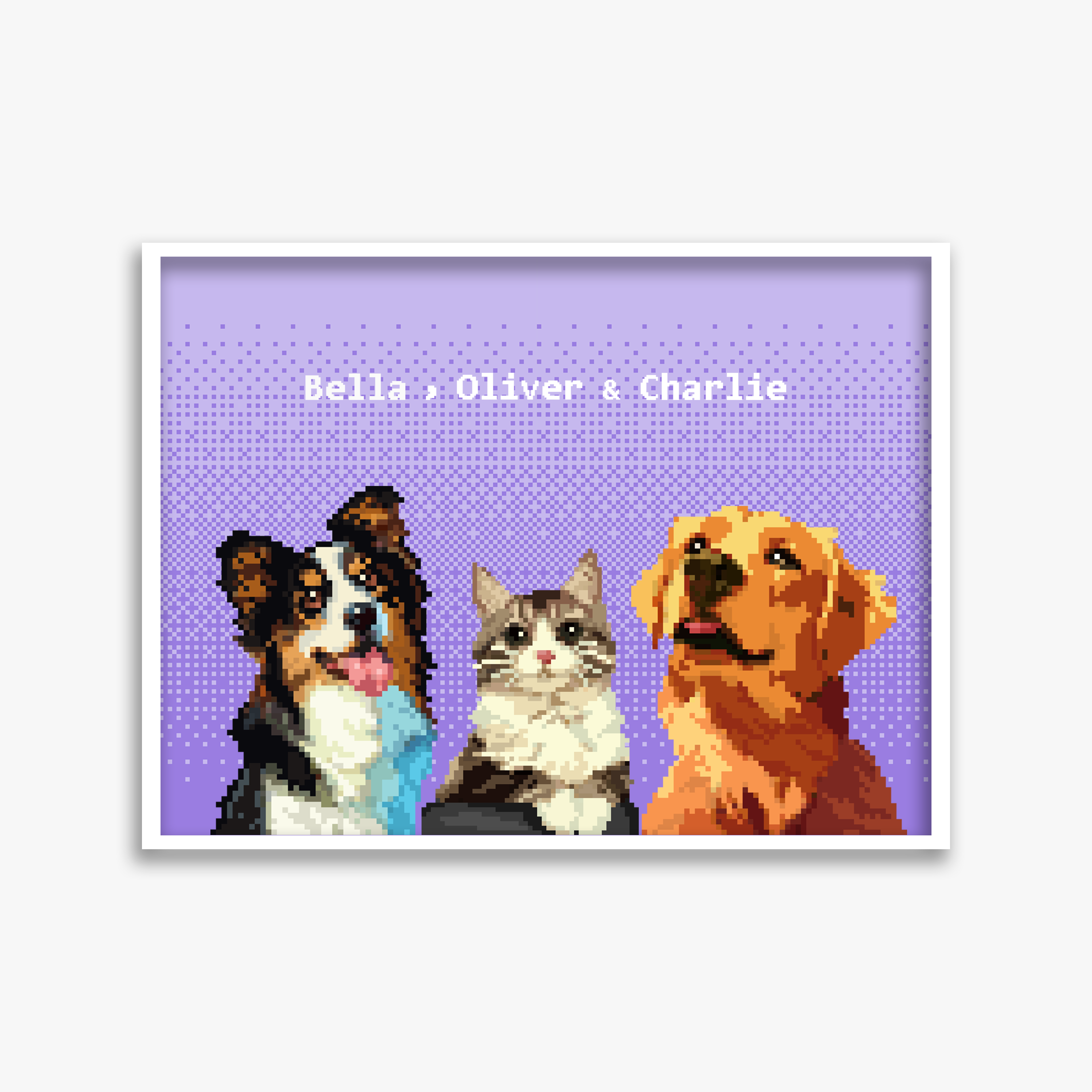 pet portraits