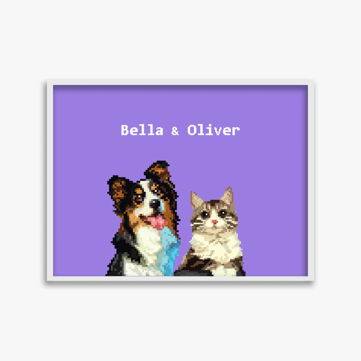 pet portraits