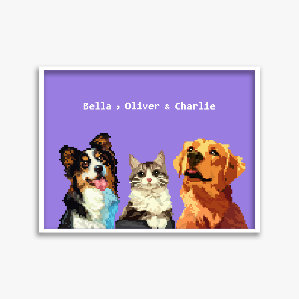 pet portraits