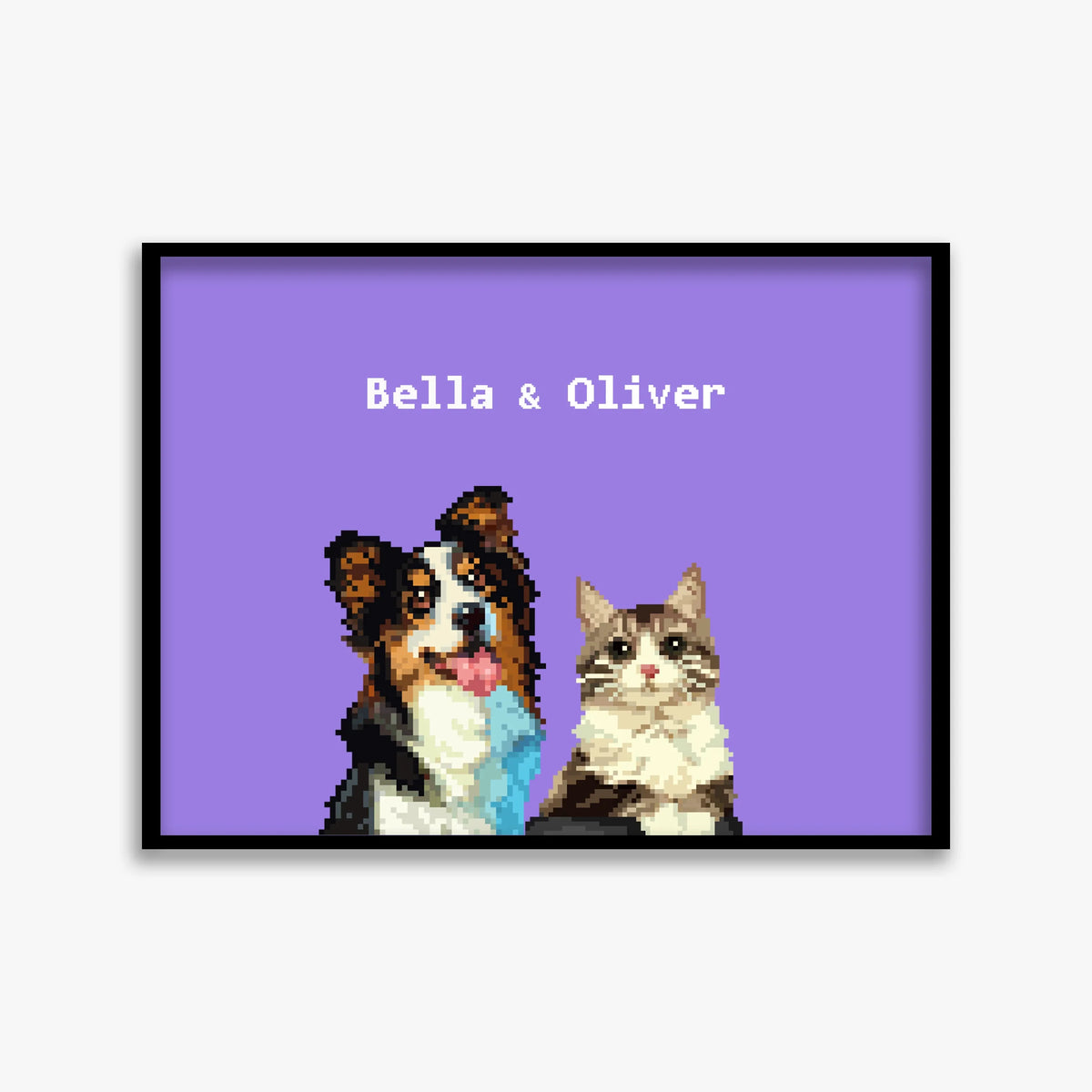 pet portraits
