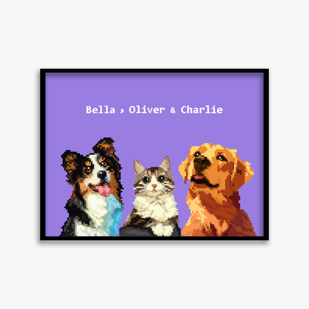 pet portraits