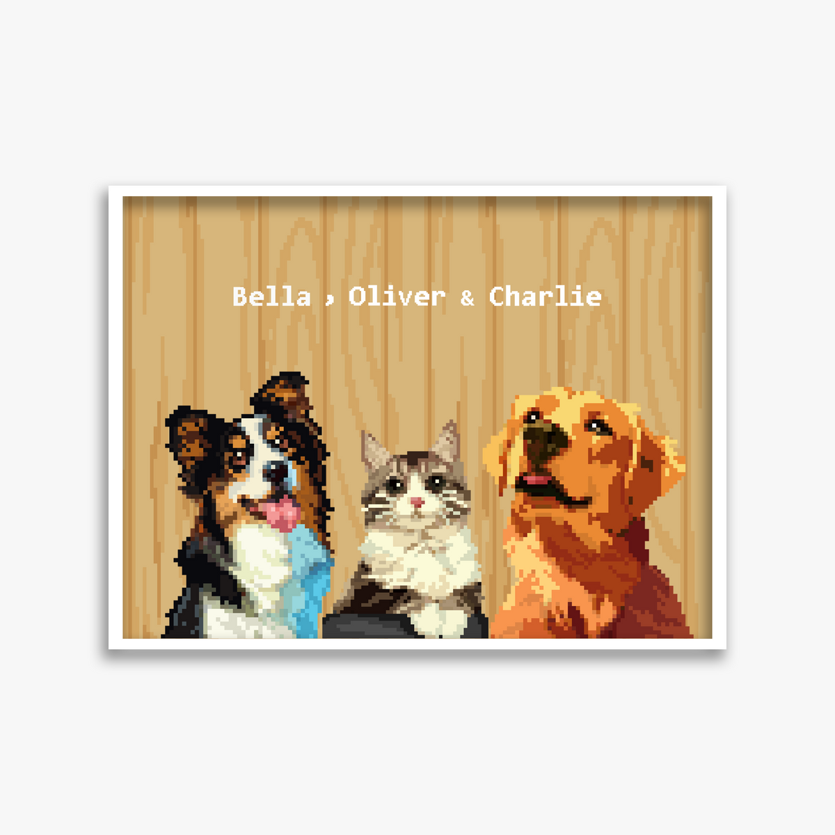 pet portraits