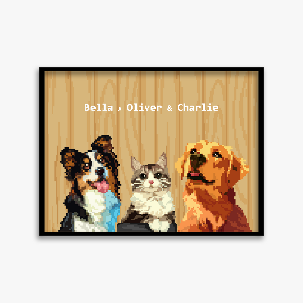 pet portraits