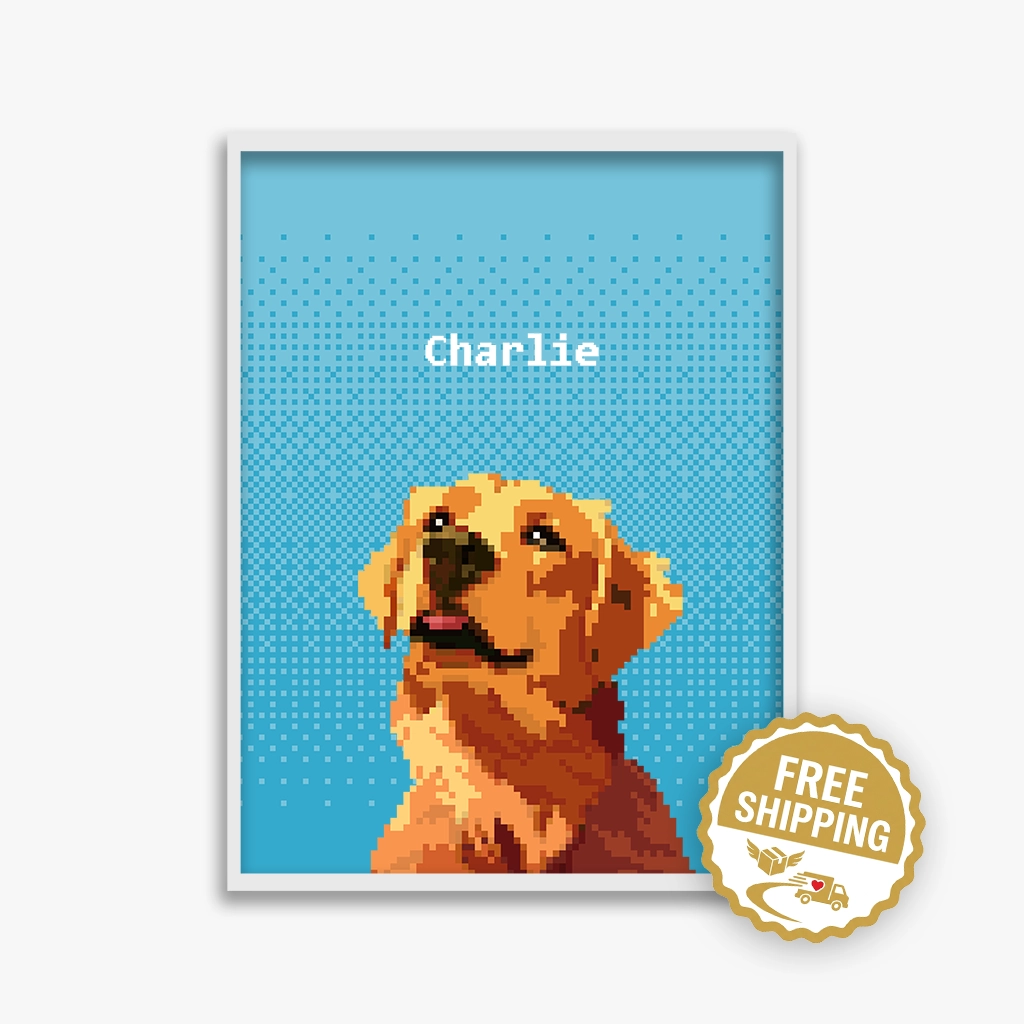 pet portraits