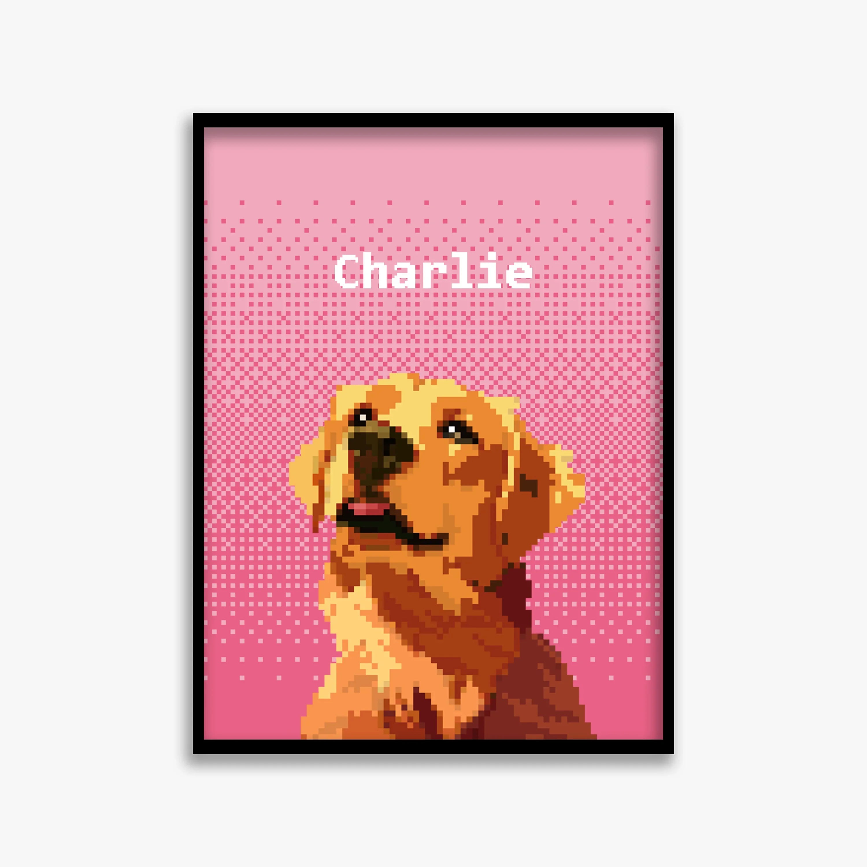 pet portraits