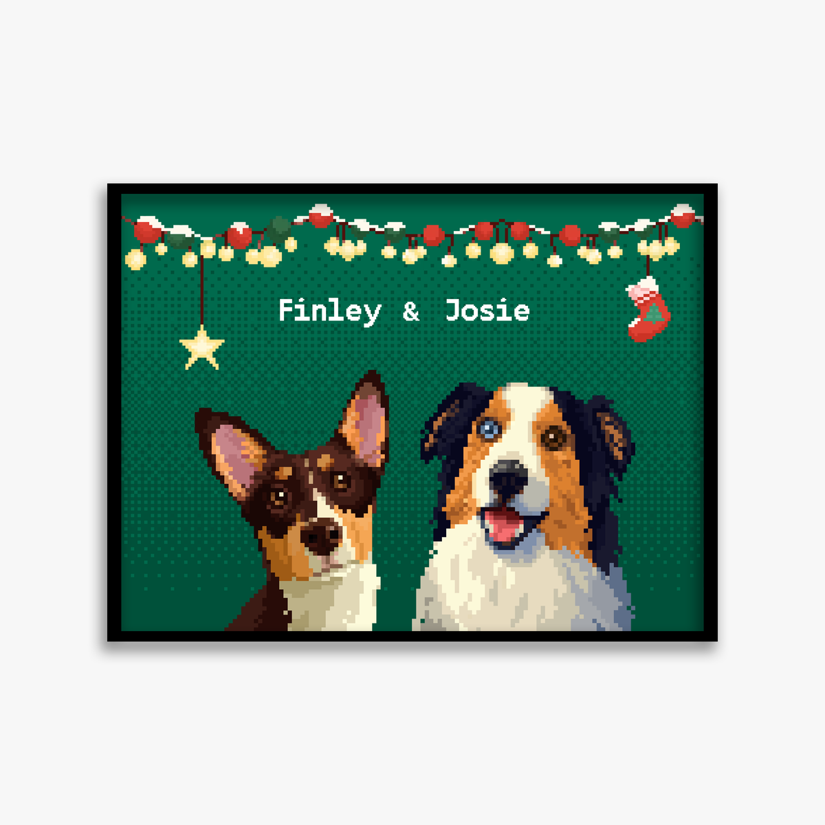 pet portraits