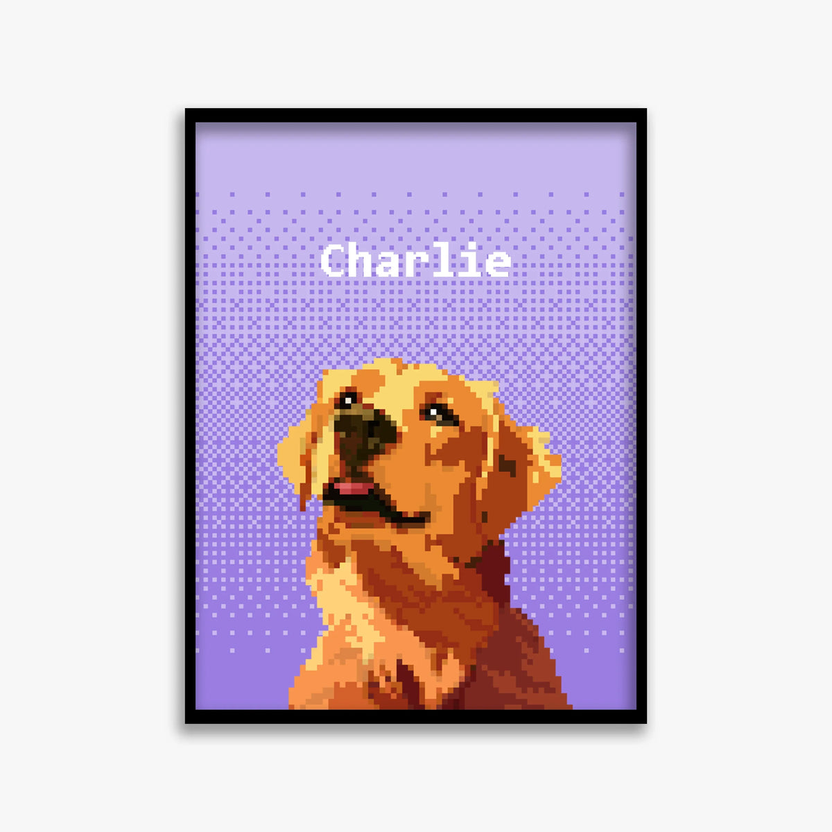pet portraits