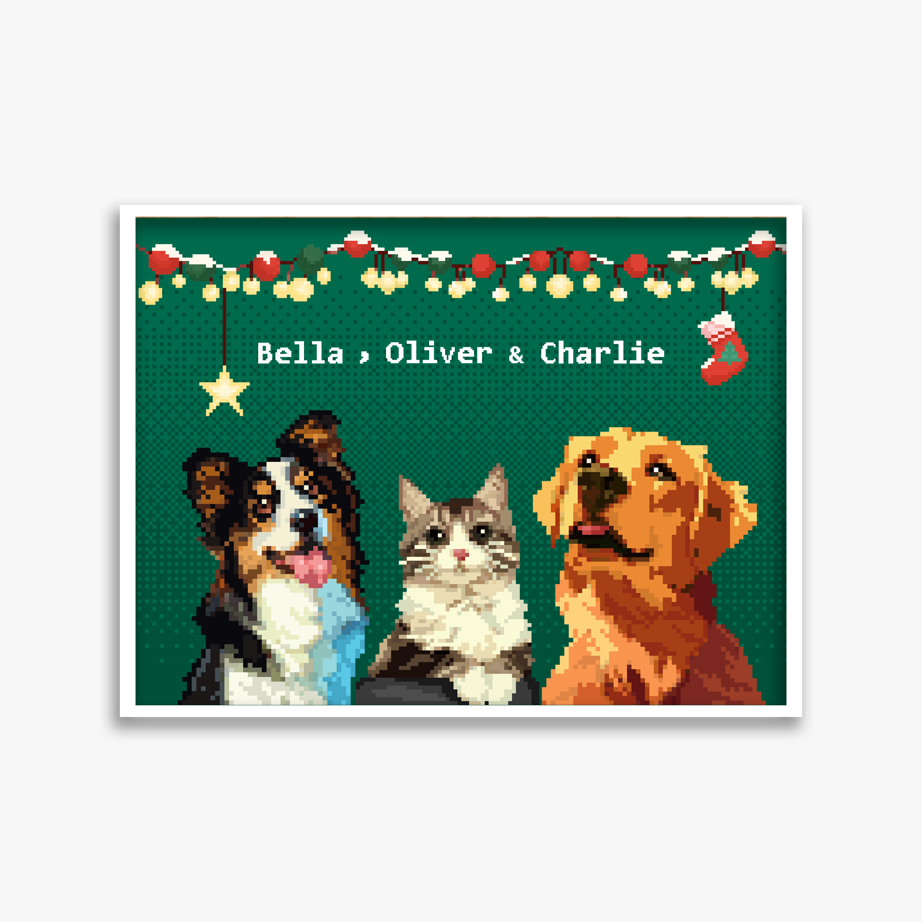 pet portraits