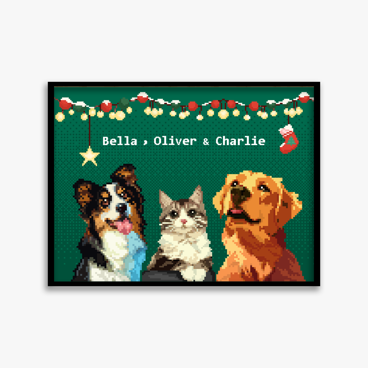pet portraits