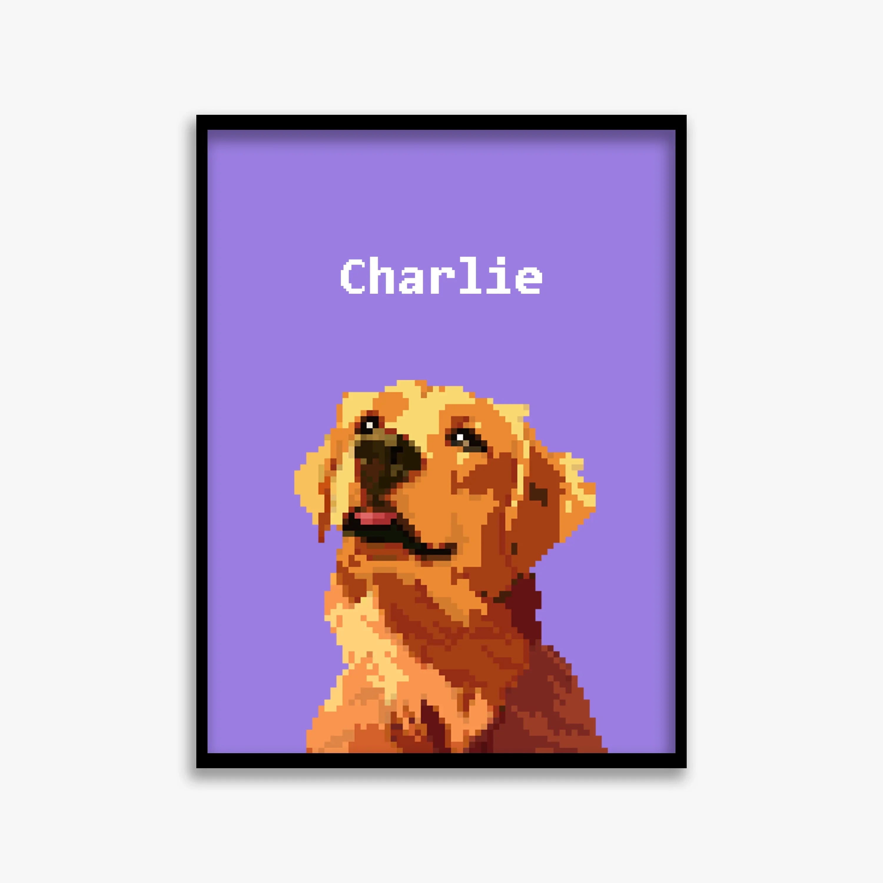 pet portraits