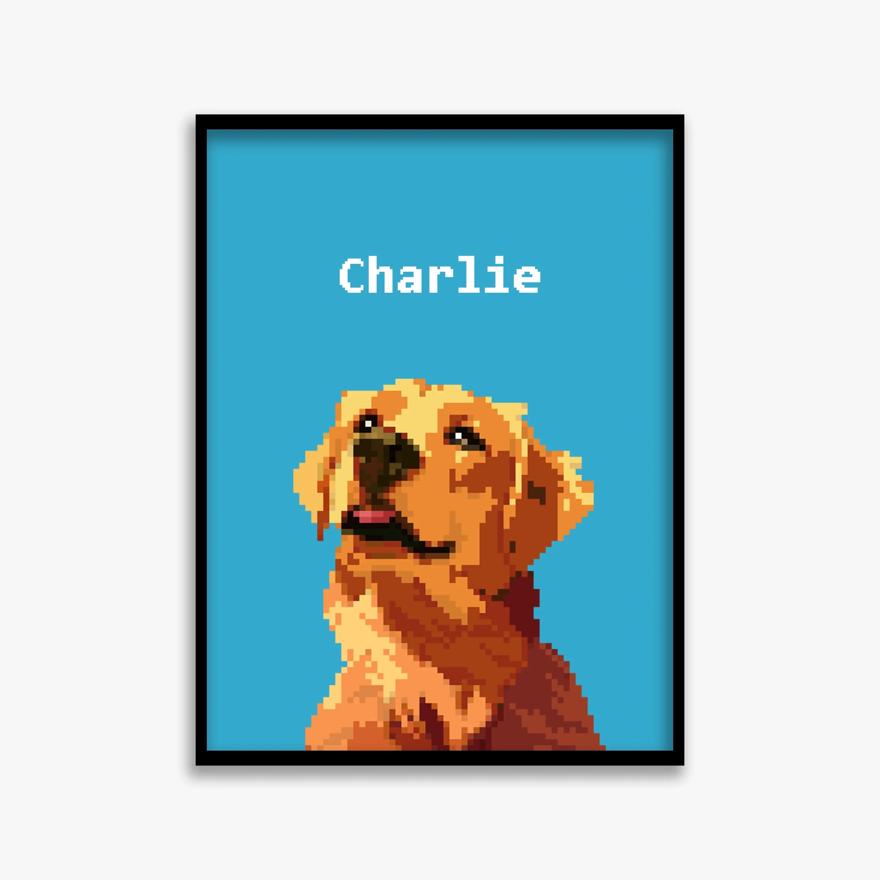 pet portraits