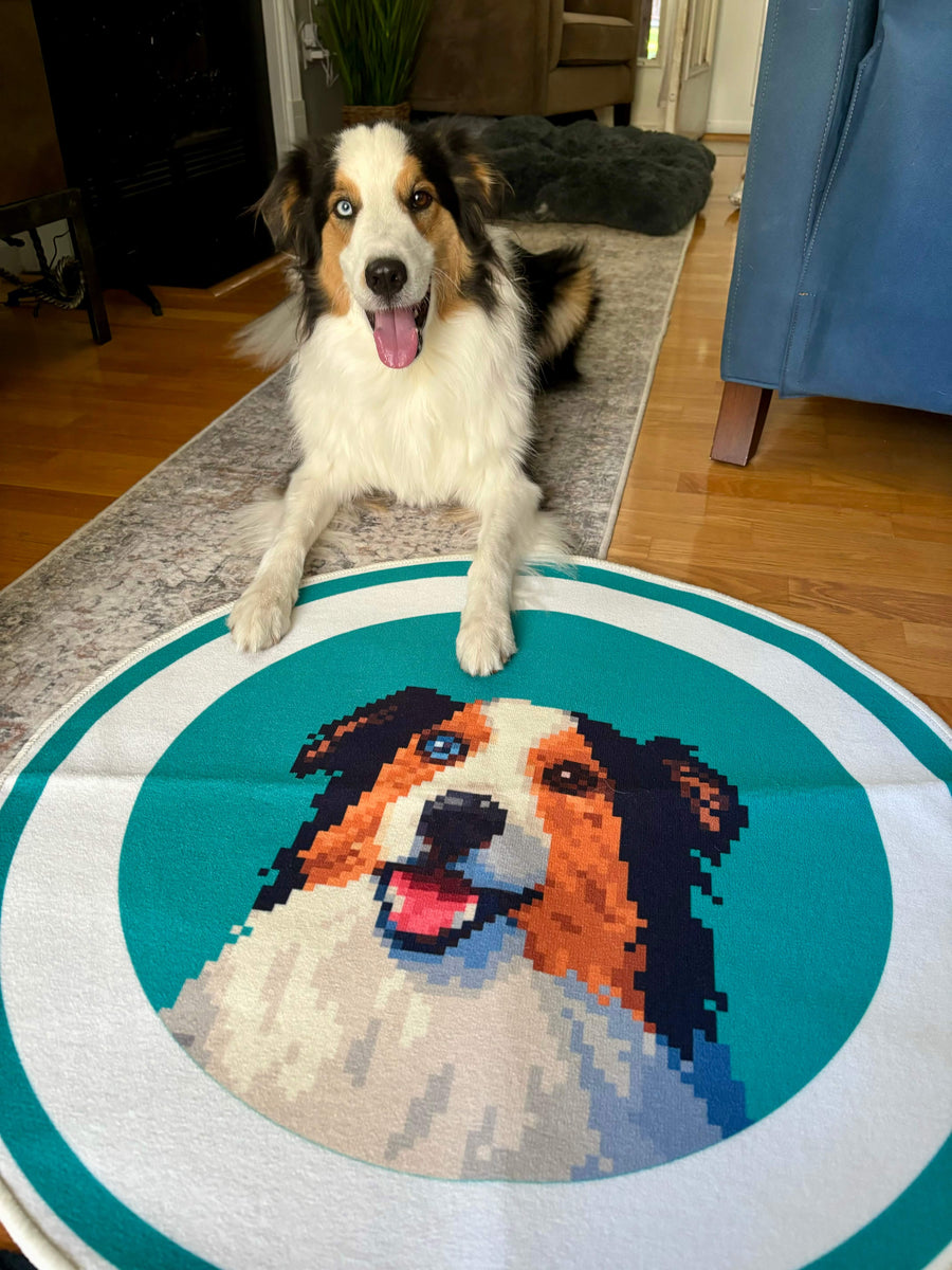 Custom Pixel Pet Rug