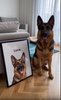 custom pet portrait
