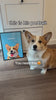 custom pet portrait